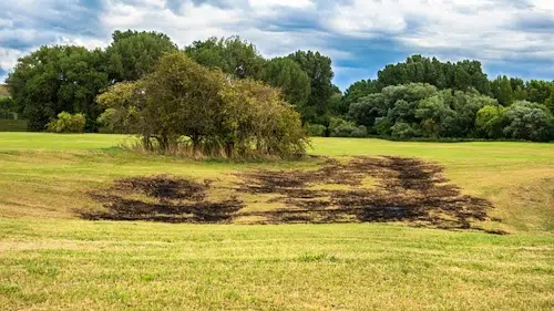 Das Tävsmoor in Appen: Wandern in Schleswig-Holstein