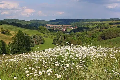 Der Cloefpfad: Ein unvergessliches Wandererlebnis