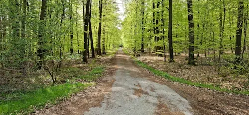 Der Lügder Osterbergweg im Naturschutzgebiet Emmertal