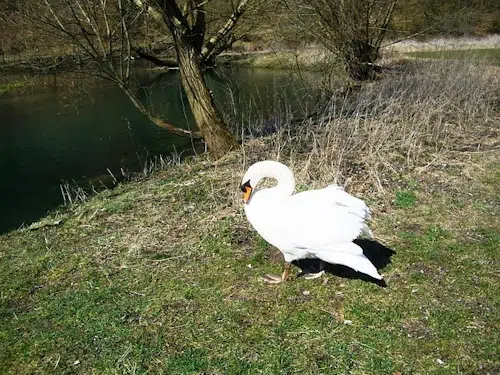 Die Park Inzigkofen Wanderung: Ein Erlebnis in Schwäbischen Alb