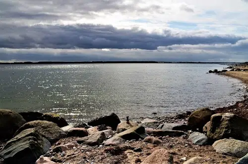 Eckernförder Bucht Wanderung: Ein Naturerlebnis an der Ostsee