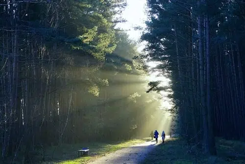 Eidertalwanderweg Wanderung: Abenteuer für Wanderbegeisterte