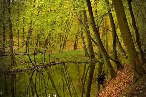 Naturschutzgebiet Hanheide: Wandern in Schleswig-Holstein