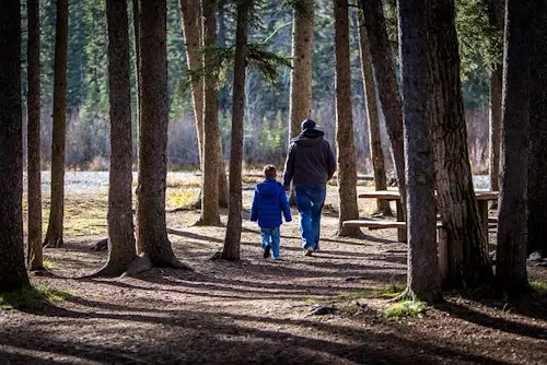 Segeberger Forst: Wandern in Schleswig-Holstein