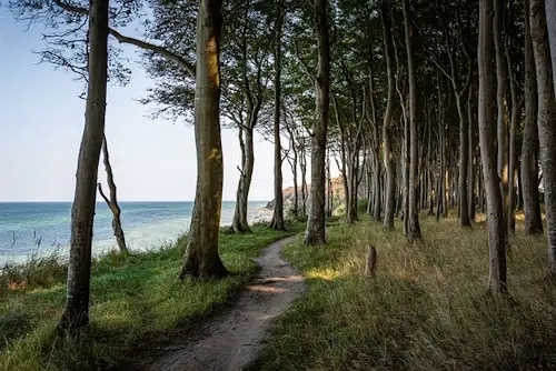 Steilküste Noer: Wandern in Schleswig-Holstein